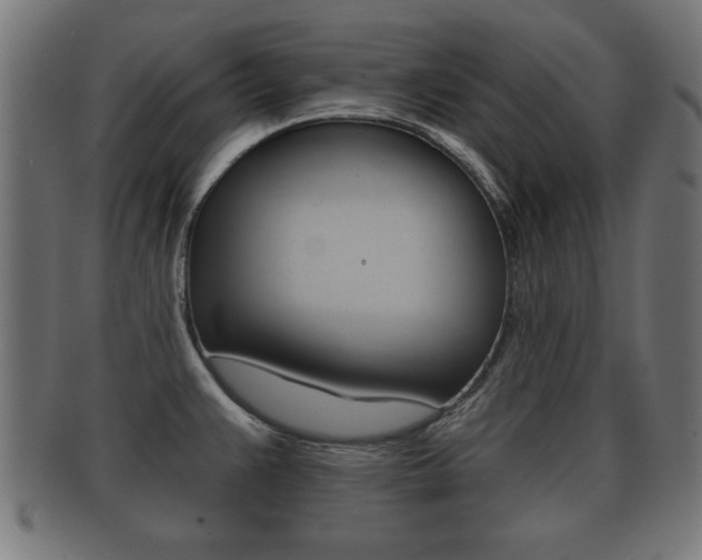 X0000091951383200709061031