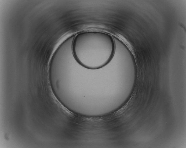 X0000091951384200709061031