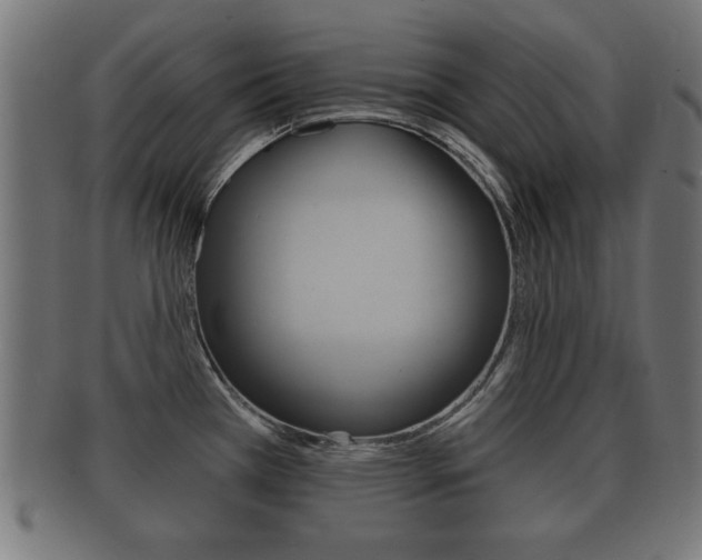 X0000091951385200709061031