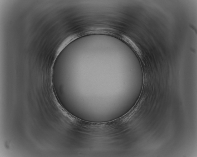 X0000091951386200709061031