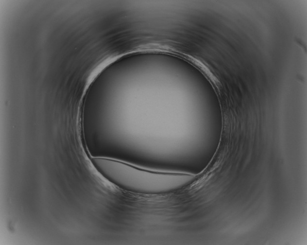 X0000091951387200709061031