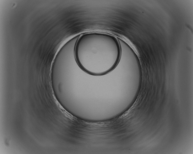 X0000091951388200709061031