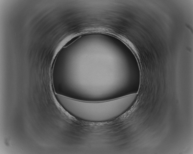 X0000091951389200709061031