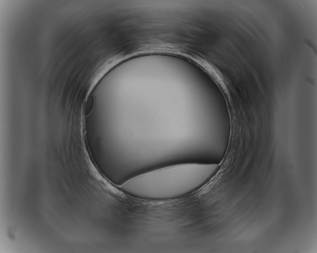 X0000091951390200709061031