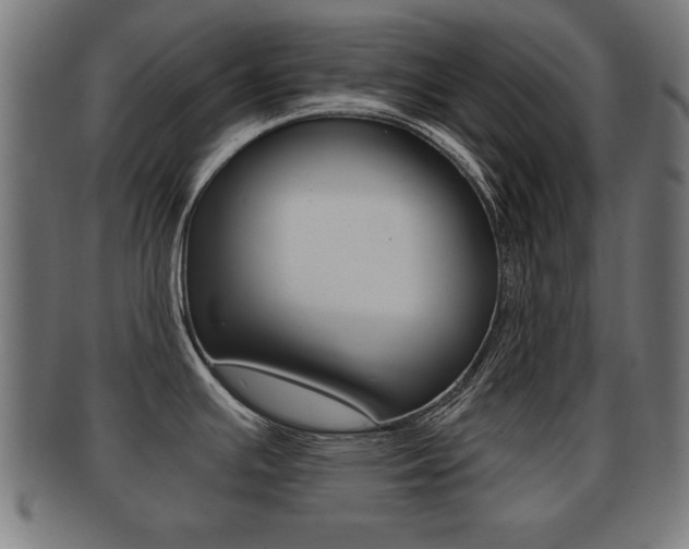 X0000091951391200709061031
