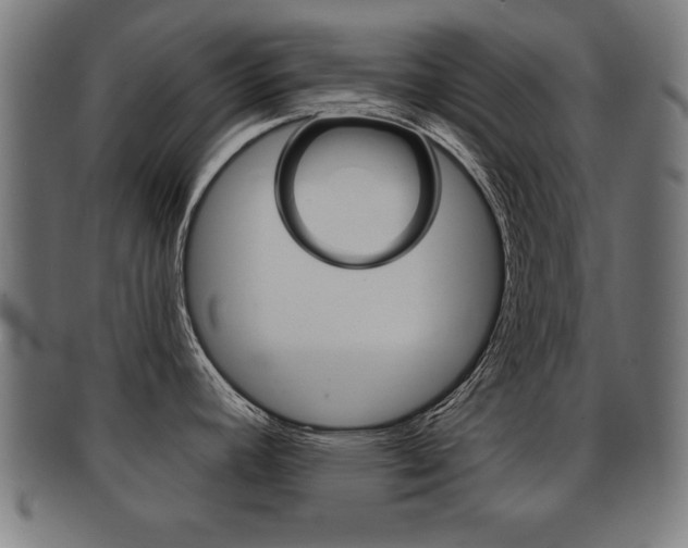 X0000091951392200709061031