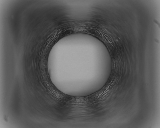 X0000091951393200709061030