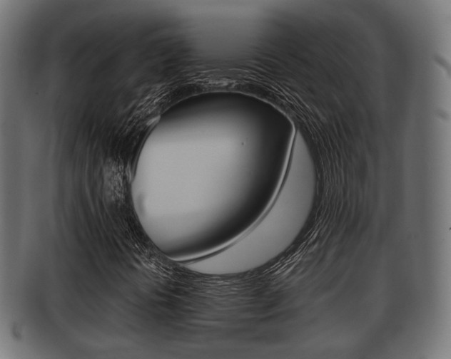 X0000091951394200709061030