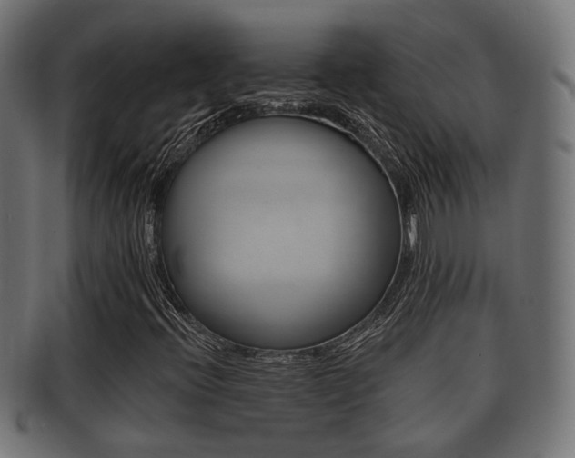 X0000091951396200709061030