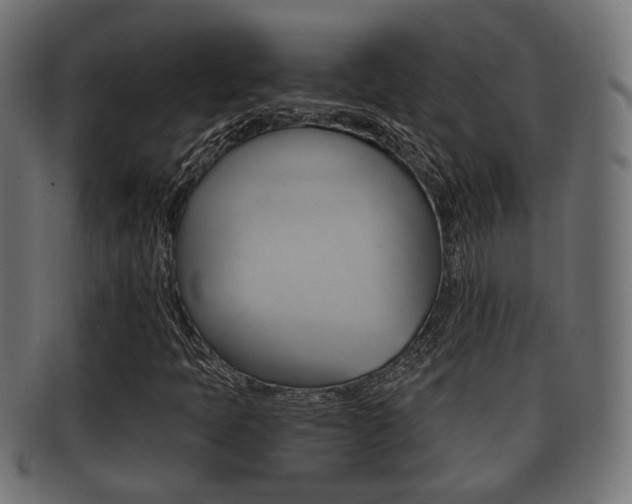 X0000091951397200709061030