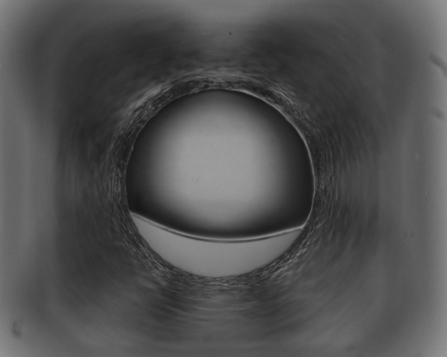 X0000091951398200709061030