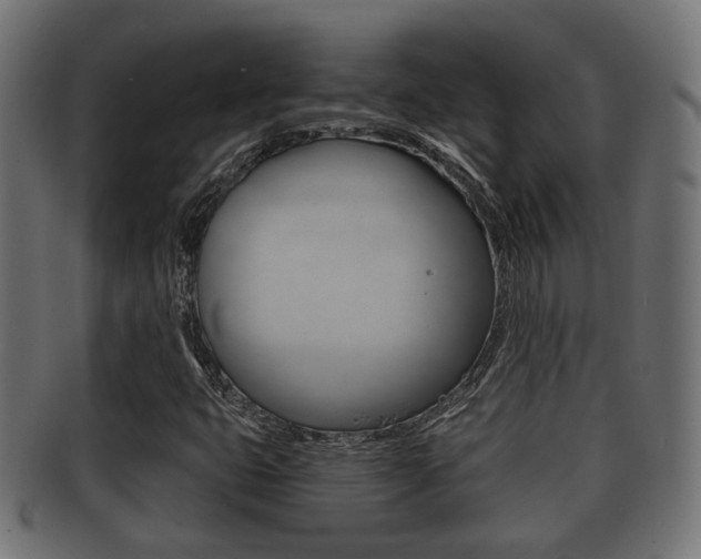 X0000091951399200709061030