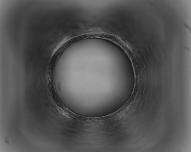 X0000091951400200709061030