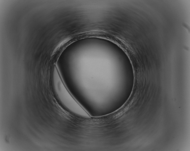 X0000091951402200709061030