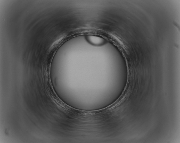 X0000091951403200709061030