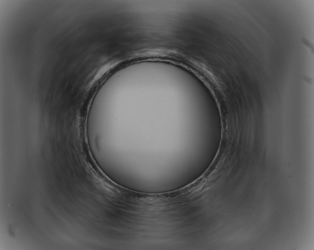 X0000091951404200709061030