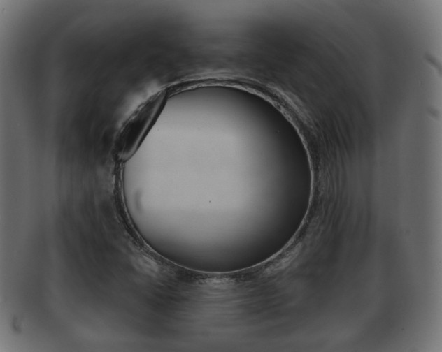 X0000091951406200709061030