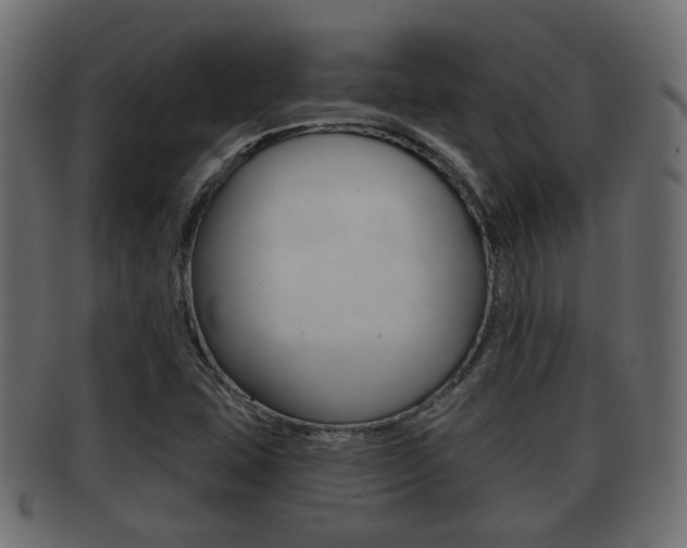 X0000091951407200709061030
