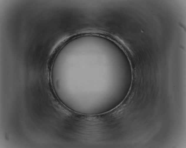 X0000091951408200709061030