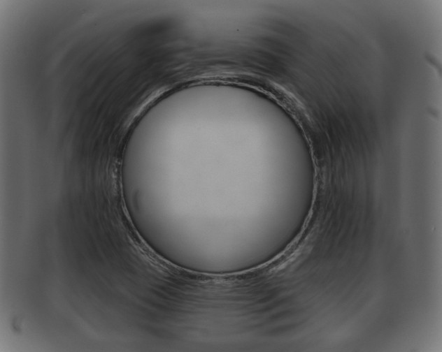 X0000091951409200709061030