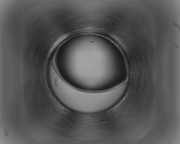X0000091951410200709061030