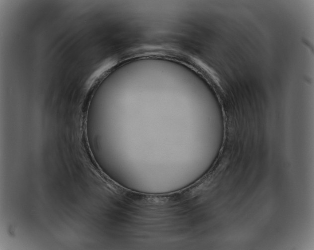 X0000091951411200709061030