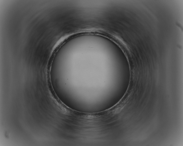 X0000091951412200709061030