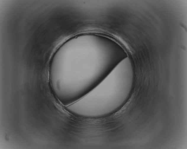 X0000091951413200709061030