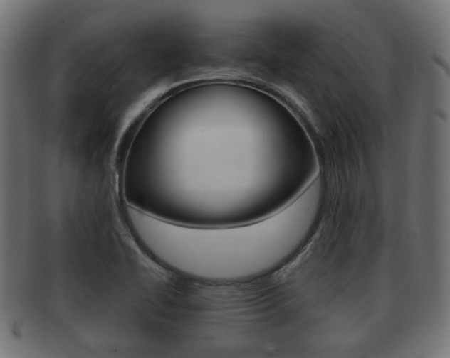 X0000091951414200709061030