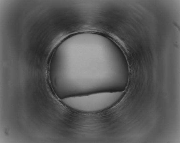 X0000091951415200709061030