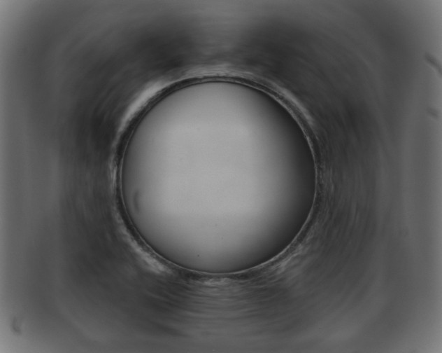 X0000091951416200709061030