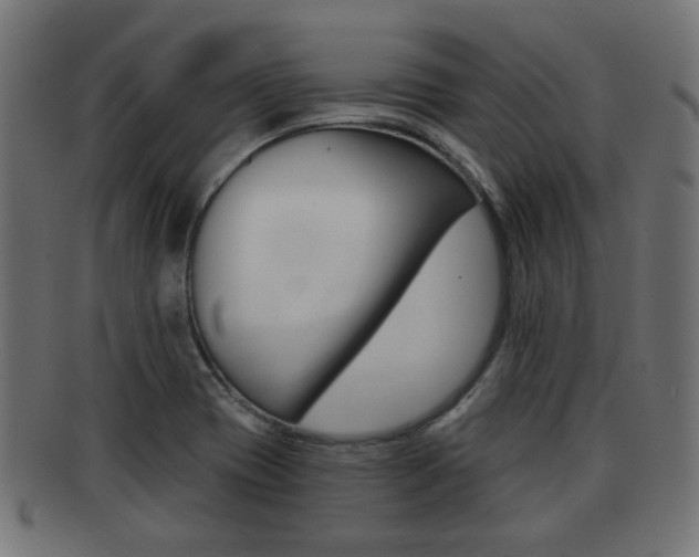 X0000091951417200709061030