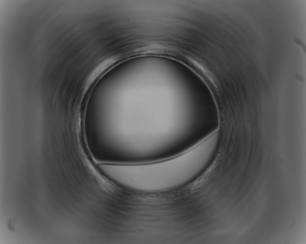 X0000091951418200709061030