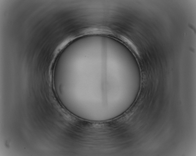 X0000091951419200709061030