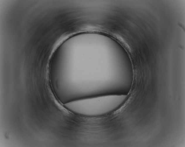 X0000091951421200709061030