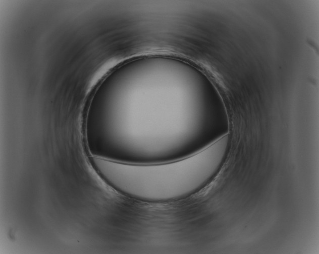 X0000091951422200709061030