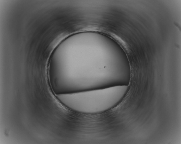 X0000091951423200709061030