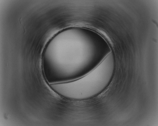 X0000091951424200709061030