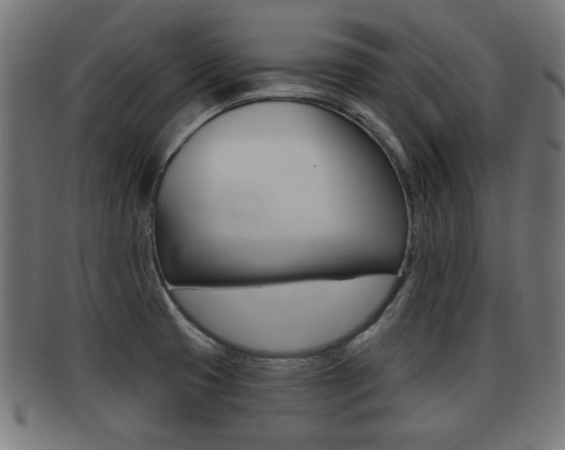 X0000091951425200709061030