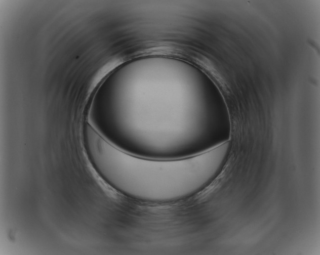 X0000091951426200709061030