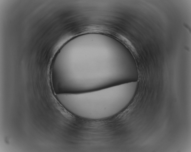 X0000091951427200709061030