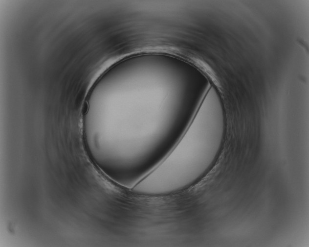 X0000091951428200709061030