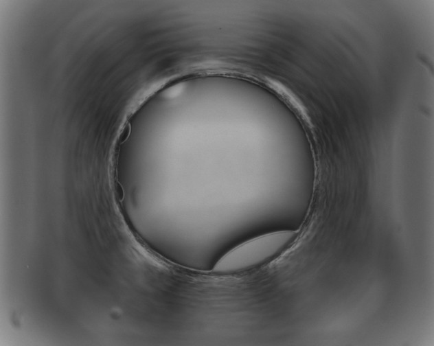 X0000091951429200709061030