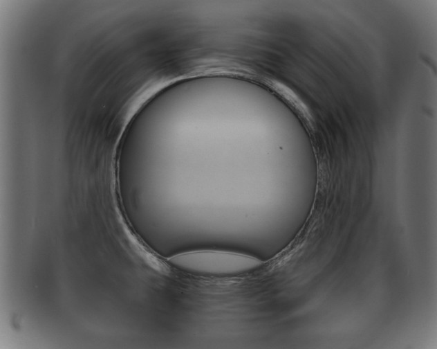 X0000091951431200709061030