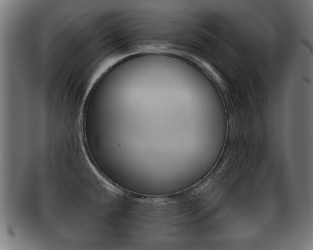 X0000091951432200709061030
