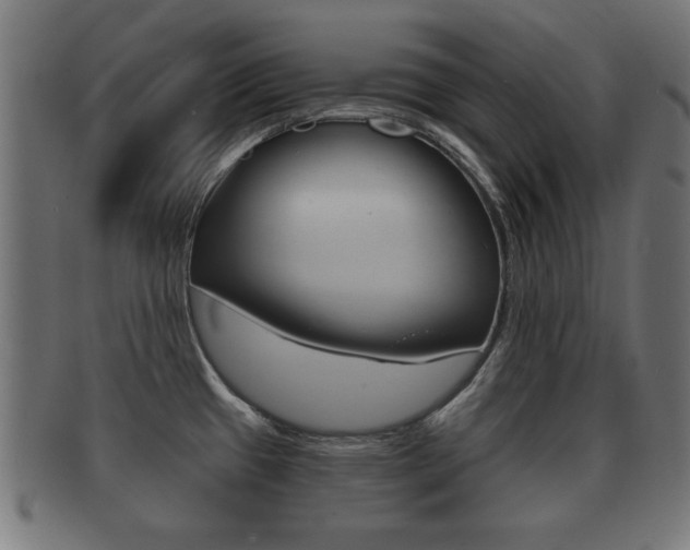 X0000091951433200709061030