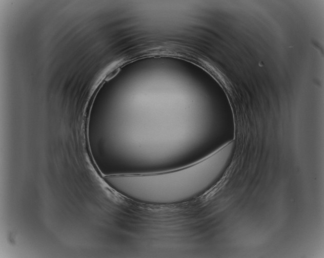 X0000091951434200709061030