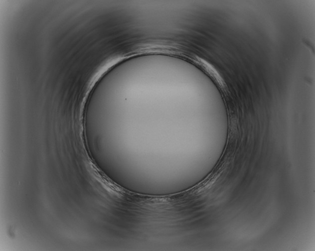 X0000091951435200709061030