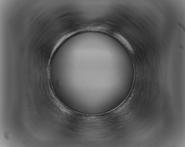 X0000091951436200709061030