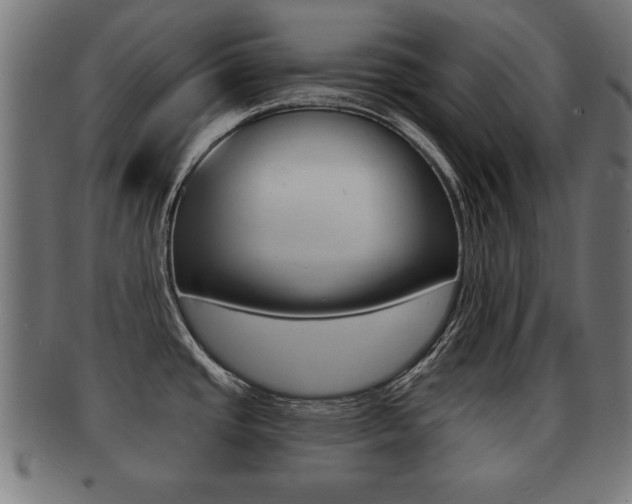 X0000091951437200709061031